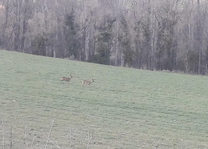 Casa Feliz Duplex Y Rural Torres del Obispo